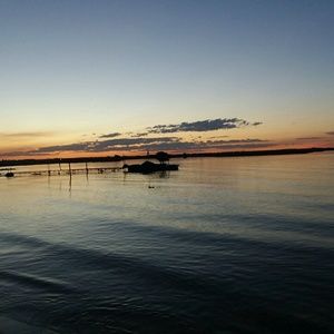 Meet your Posher, Riley